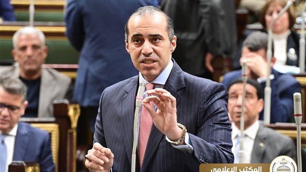 المستشار محمود فوزي