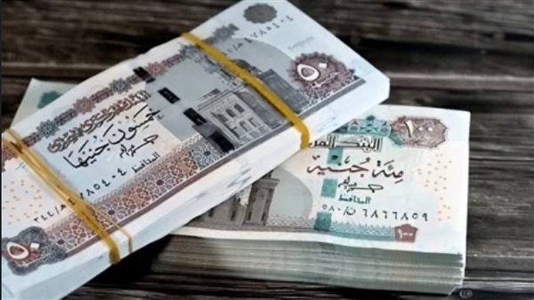 تفاصيل زيادة المعاشات