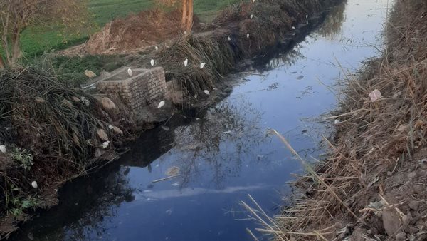 تطهير الترع 