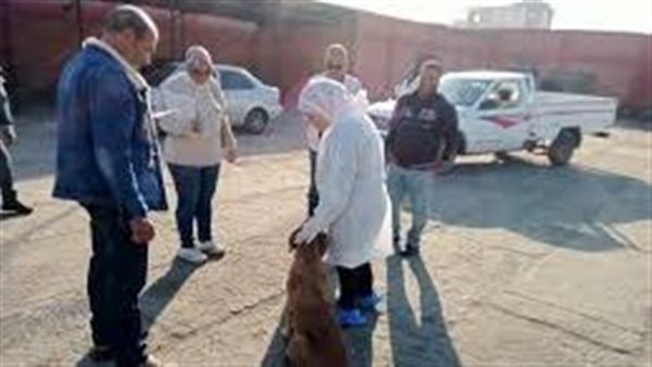 محافظ بورسعيد 