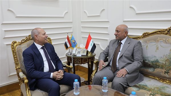 محافظ القاهرة 