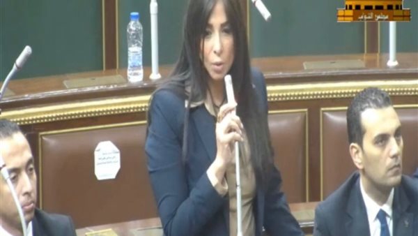 المستشارة مروة بركات