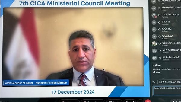 السفير المصري