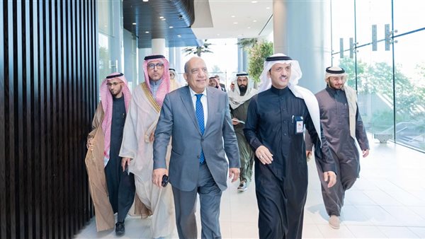 وزير الكهرباء 