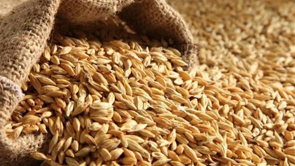 استقرار أسعار الأرز