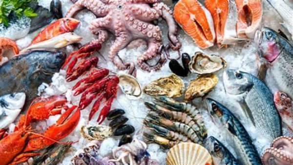 استقرار أسعار السمك