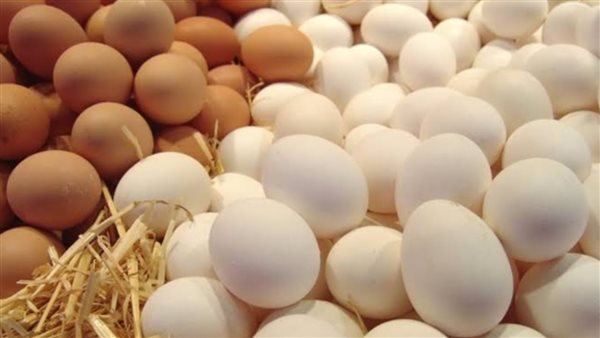 تباين أسعار كرتونة