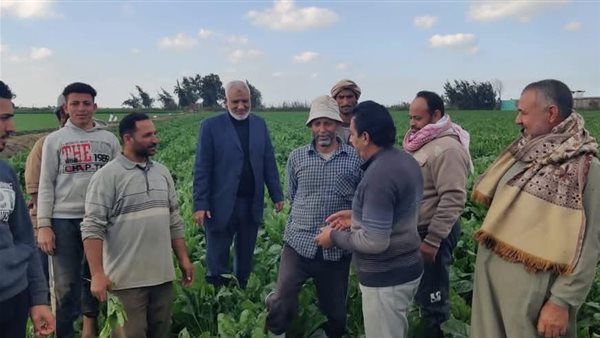 البحوث الزراعية 