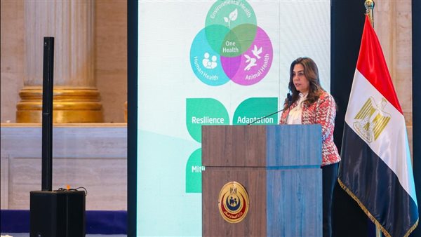 وزيرة التنمية المحلية