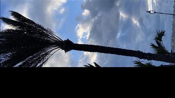 حالة طقس الإسكندرية