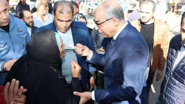 محافظ المنيا 