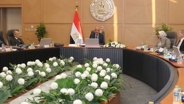 وزير الكهرباء