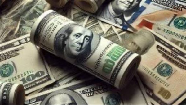 استقرار سعر الدولار