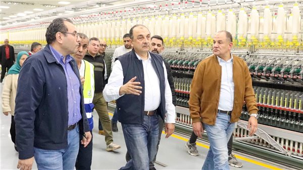 وزير قطاع الأعمال