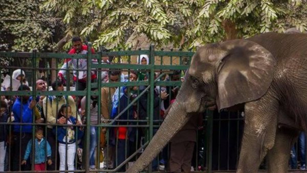 موعد افتتاح حديقة