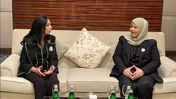 لقاء وزيرة التضامن