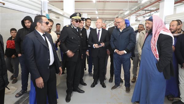 محافظ القاهرة 