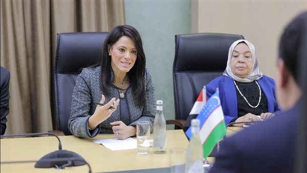 وزيرة التخطيط