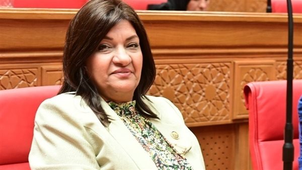 النائبة ايفلين متى