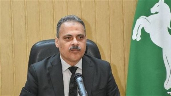 محافظ الشرقية 