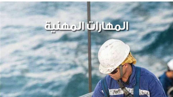 مراجعة مهارات مهنية