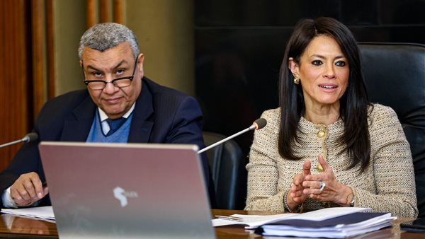 وزير التخطيط ووكيل