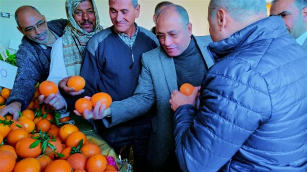 وكيل وزارة الزراعة