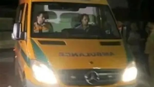 صورة ارشيفيه