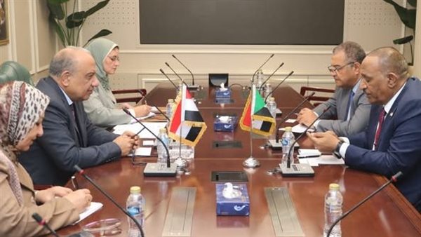 وزير الكهرباء 