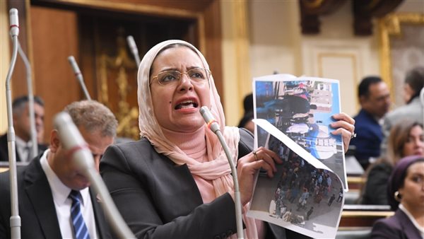 النائبة ريهام عبدالنبي