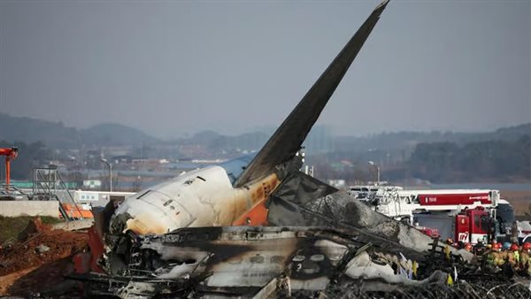 طائرة كوريا الجنوبية