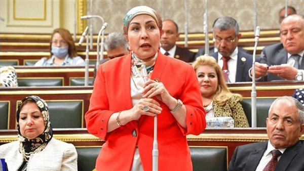 النائبة هالة أبو