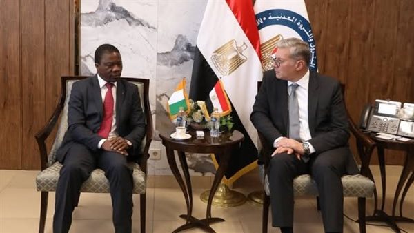  المهندس كريم بدوى