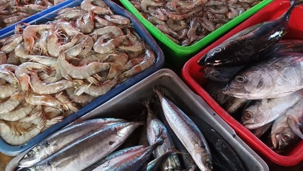 أسعار الأسماك والمأكولات