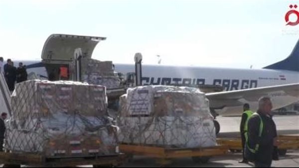 طائرة مساعدات مصرية