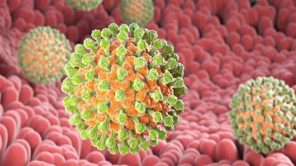 فيروس الروتا