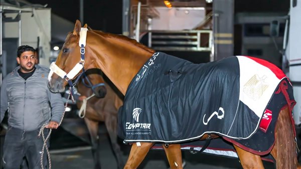 بطولة قطر الدولية