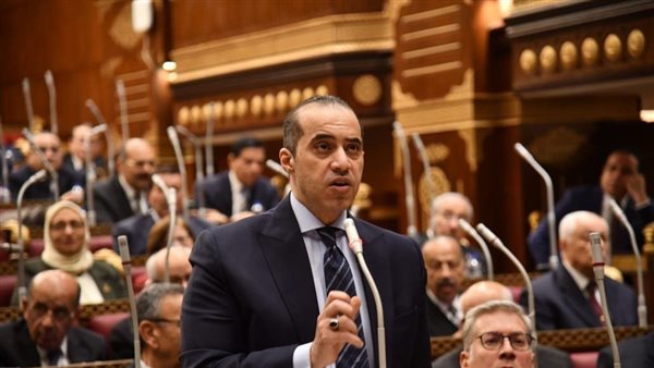 المستشار محمود فوزي