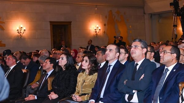 المتسشار محمود فوزي