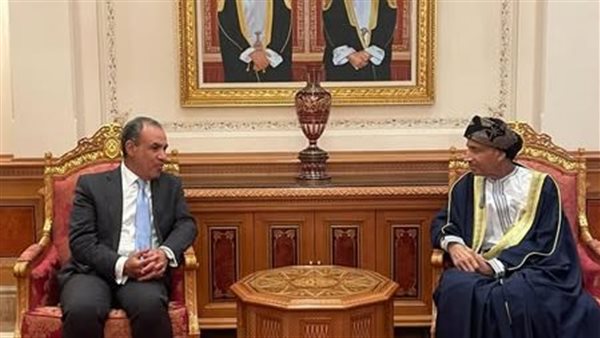 وزير الخارجية يلتقي