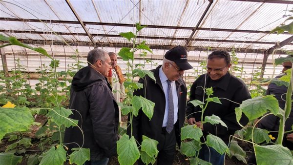 مصدري الحاصلات البستانية