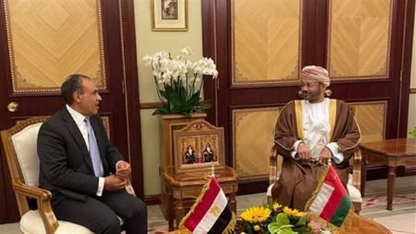 لقاء وزير الخارجية