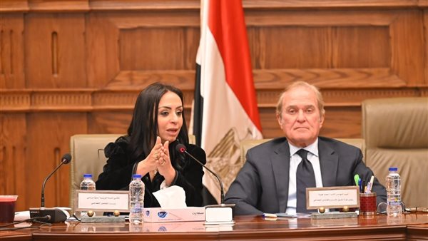  مايا مرسي وزيرة