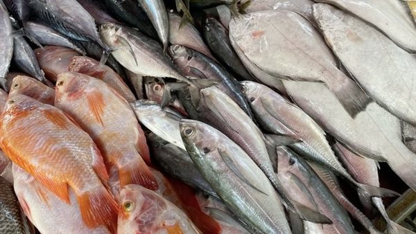 أسعار الكابوريا والجمبري