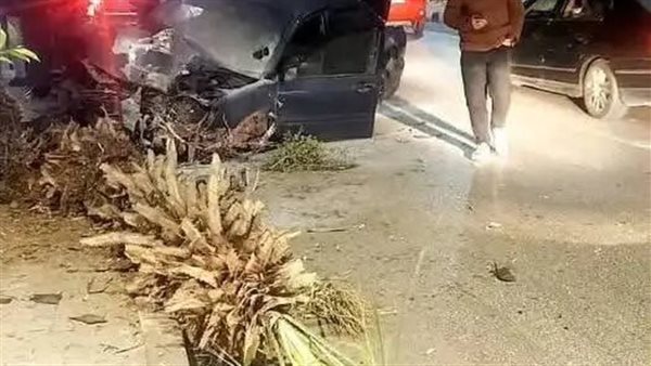 صورة واقعيه