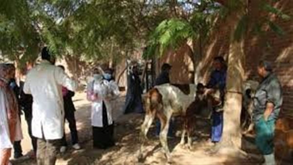 قافلة طبية بيطرية