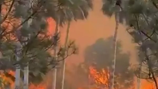 حرائق لوس أنجلوس