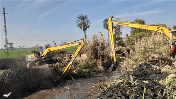 جانب من الأعمال