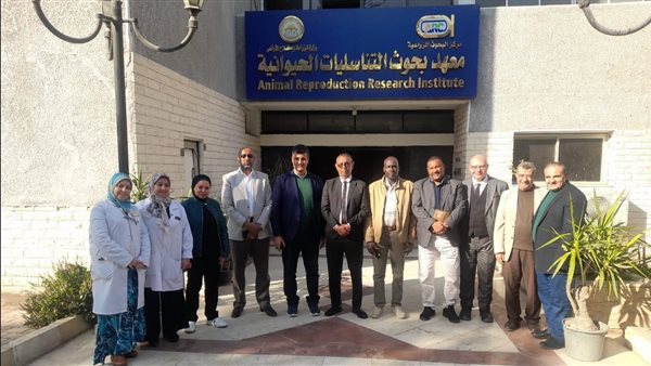 جانب من الأنشطة