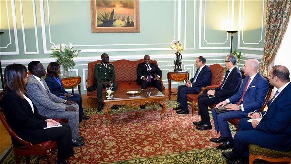 وزير الخارجية وووفد